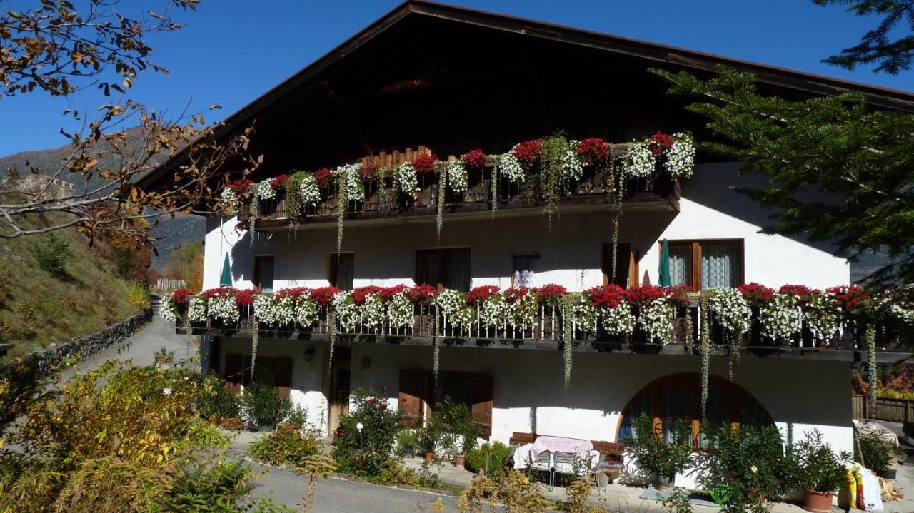 Schlosshof Zu Montani Morter Екстер'єр фото
